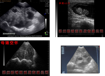 兽用B超机图像对比