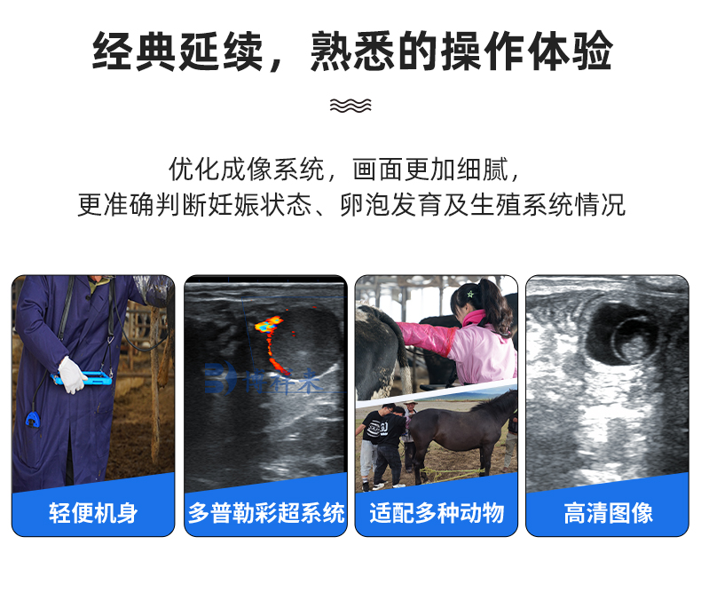 高清多普勒兽用B超机