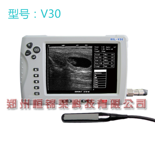 便携牛用B超 V30