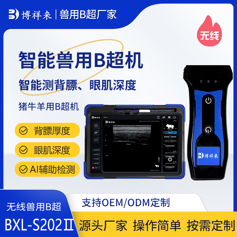 <b>智能AI猪羊用背膘仪 眼肌深度检测B超BXL-S202Ⅱ</b>