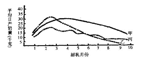 母牛产奶特点图片