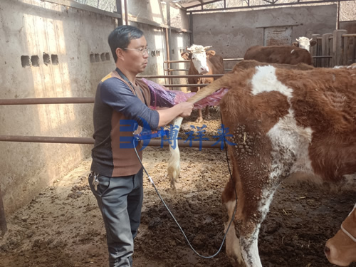技术老师3月下旬培训案例