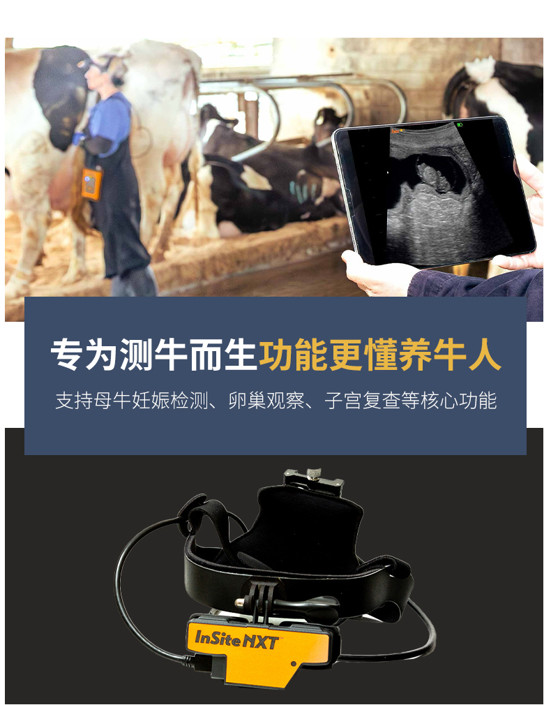 博祥来牛用B超测孕仪
