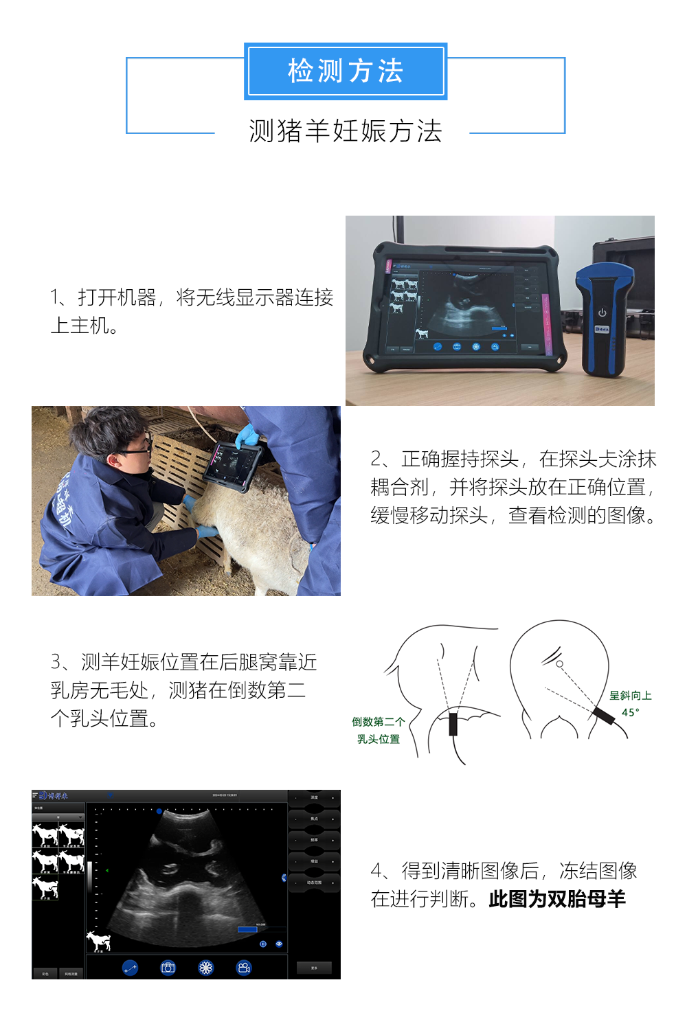 羊B超机测孕方法