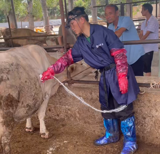 高清兽用B超机测牛黄