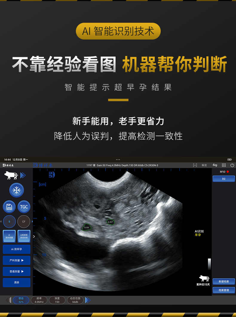 智能ai判断母猪是否怀孕