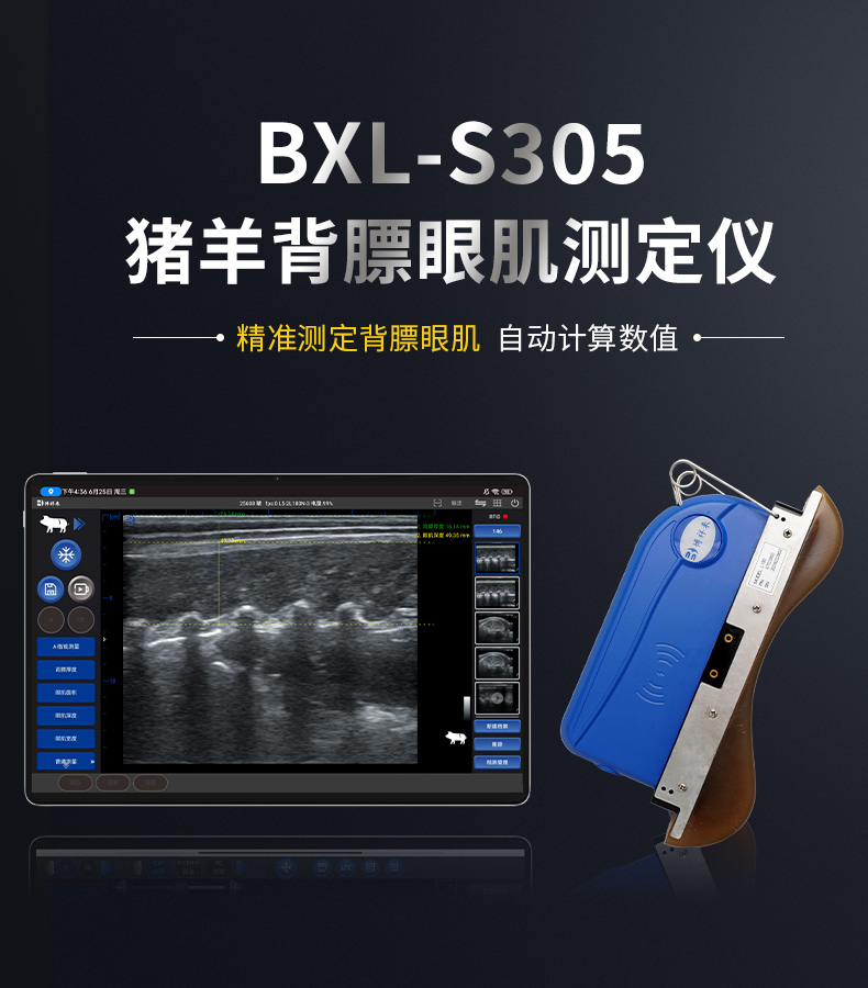 高清无线ai智能B超机背膘眼肌测定仪