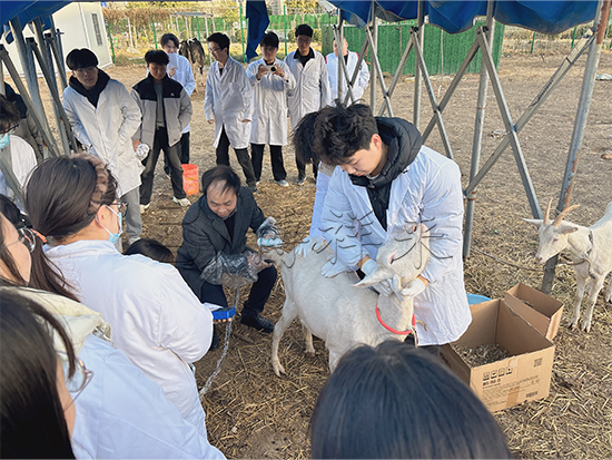 学生实地上手操作羊用B超机