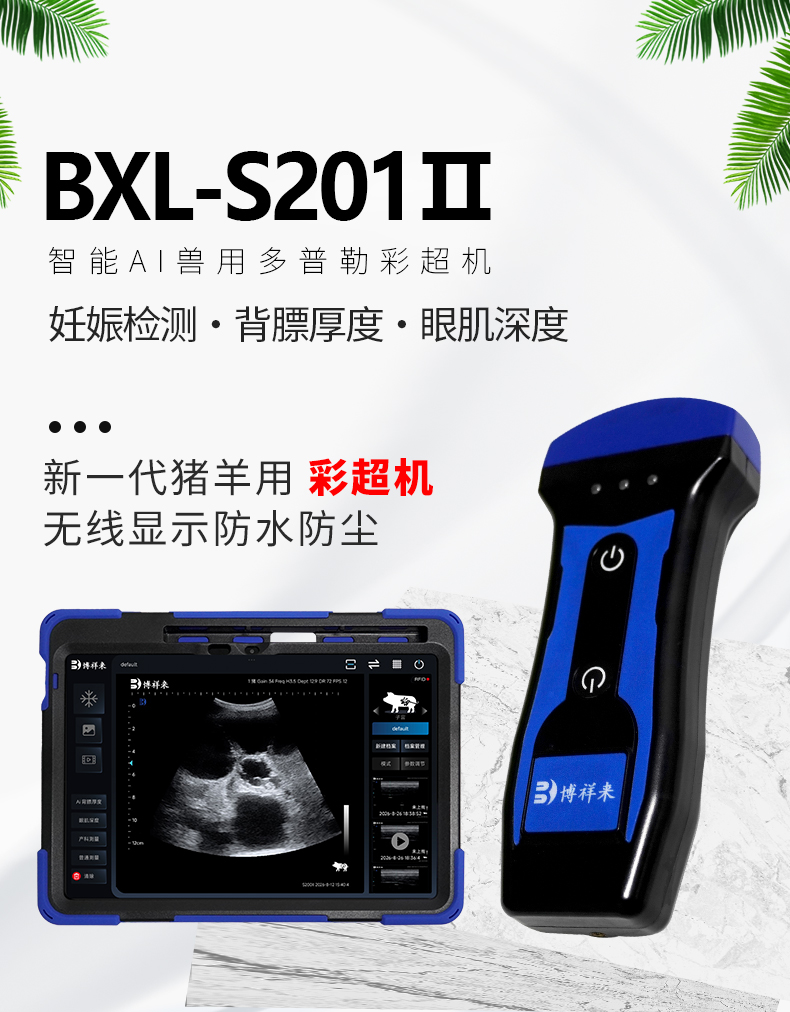 高清智能猪羊用B超测孕仪