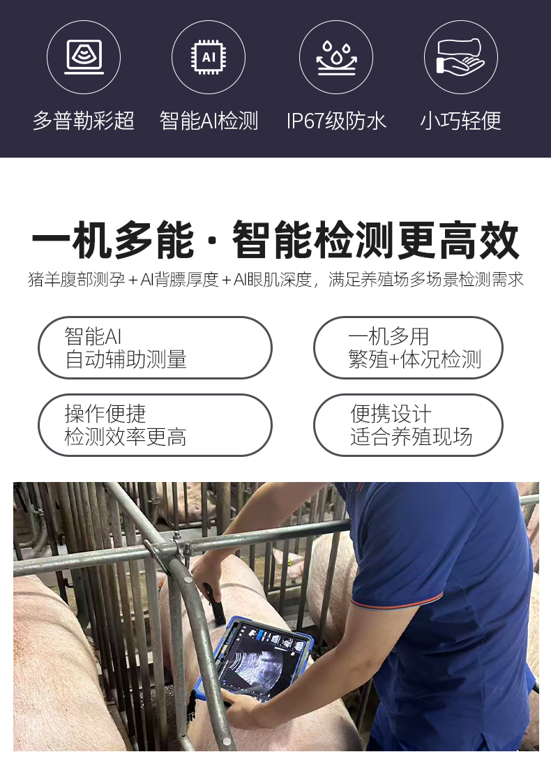 猪羊B超测孕仪