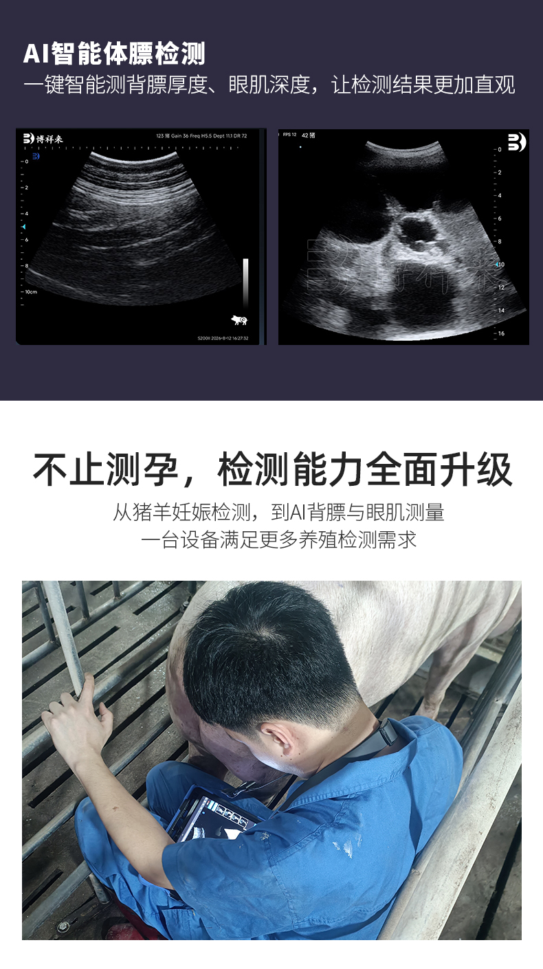 智能ai背膘眼肌测定仪