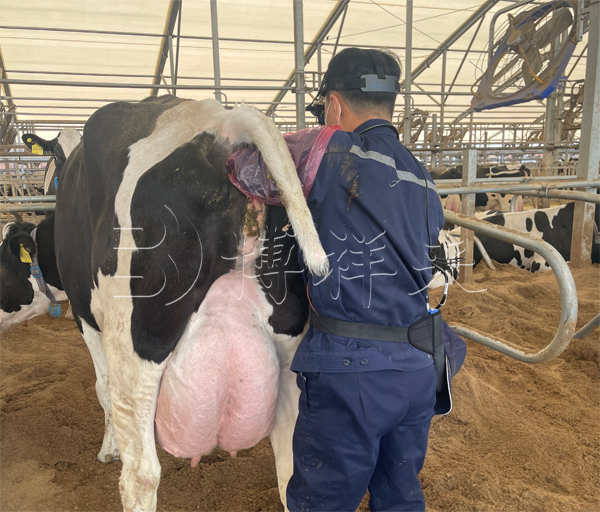 安徽美丽健乳业培训案例
